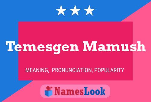 Temesgen Mamush Name Poster