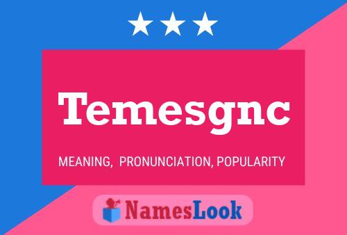 Temesgnc Name Poster