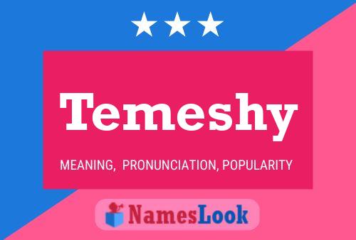 Temeshy Name Poster