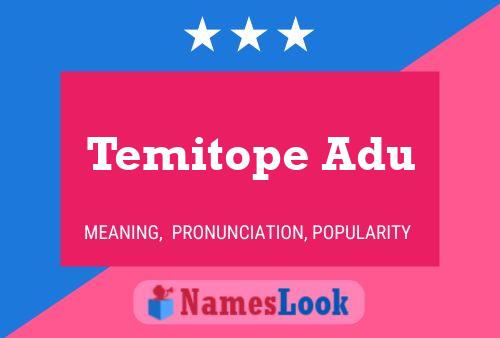 Temitope Adu Name Poster