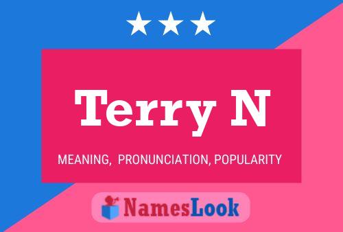 Terry N Name Poster