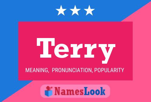 Terry Name Poster