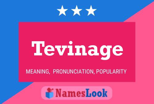 Tevinage Name Poster