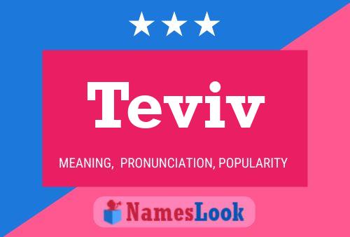 Teviv Name Poster