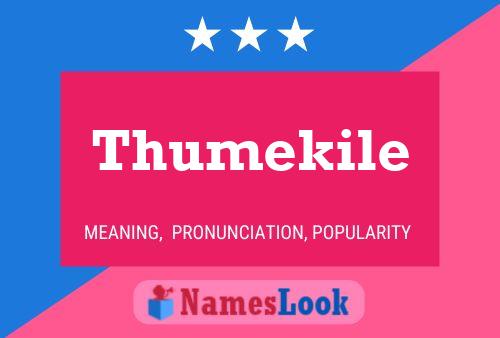 Thumekile Name Poster