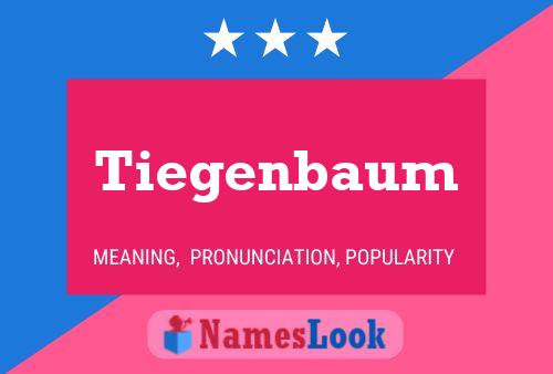 Tiegenbaum Name Poster