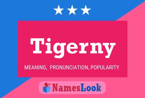 Tigerny Name Poster