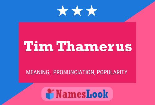 Tim Thamerus Name Poster