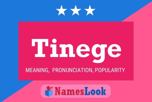 Tinege Name Poster