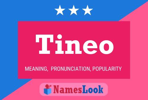 Tineo Name Poster