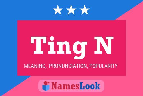 Ting N Name Poster