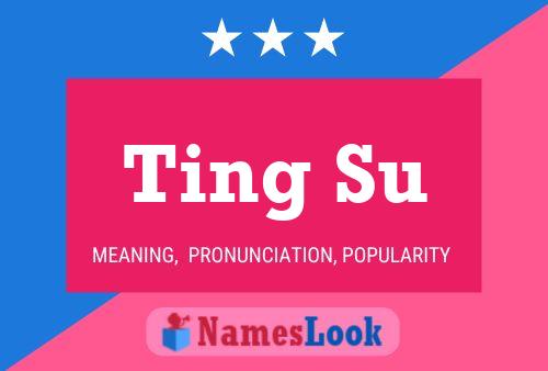 Ting Su Name Poster