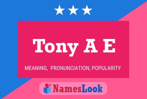 Tony A E Name Poster