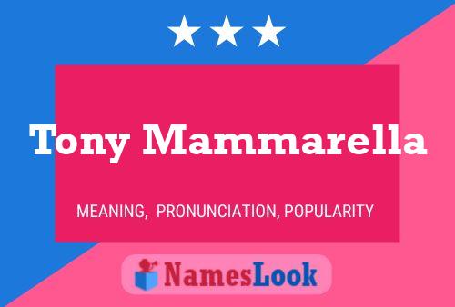 Tony Mammarella Name Poster