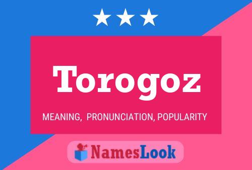 Torogoz Name Poster