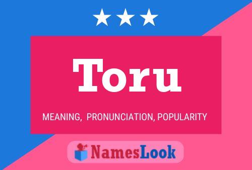 Toru Name Poster