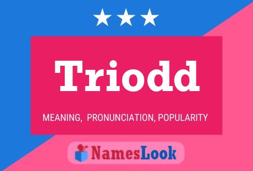 Triodd Name Poster