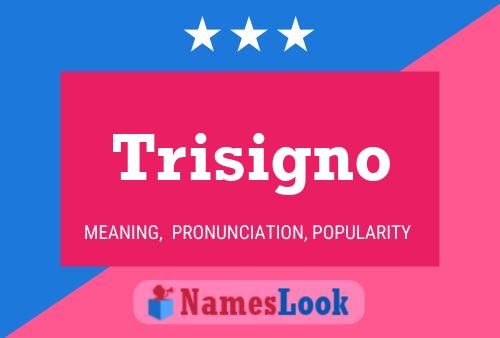 Trisigno Name Poster