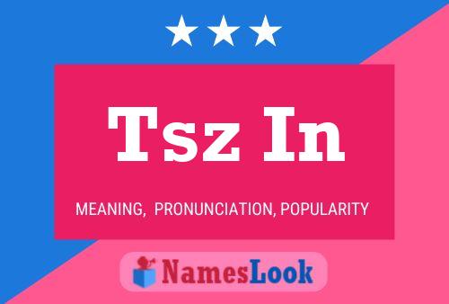 Tsz In Name Poster