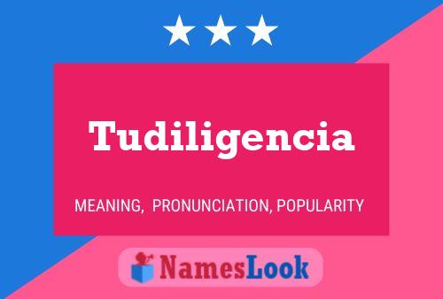 Tudiligencia Name Poster