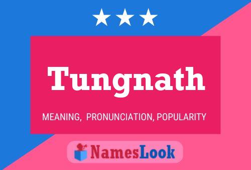 Tungnath Name Poster