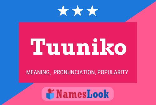 Tuuniko Name Poster