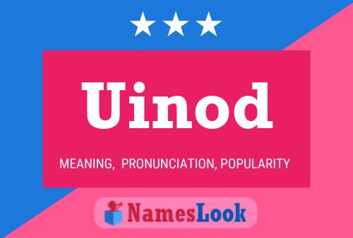 Uinod Name Poster