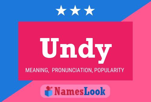 Undy Name Poster