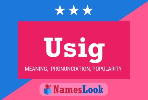 Usig Name Poster