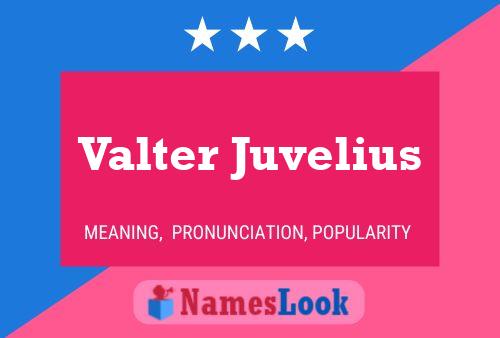 Valter Juvelius Name Poster