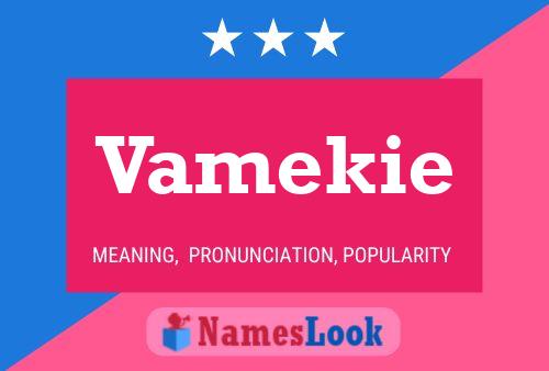 Vamekie Name Poster