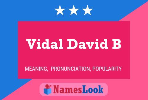 Vidal David B Name Poster