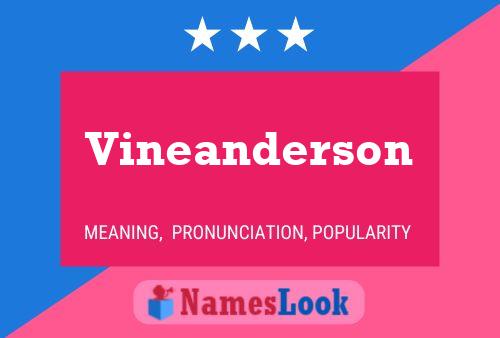 Vineanderson Name Poster