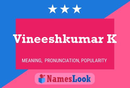 Vineeshkumar K Name Poster