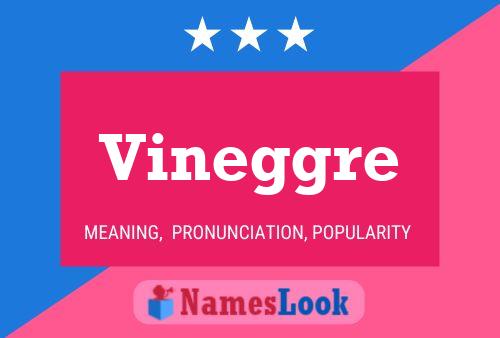 Vineggre Name Poster