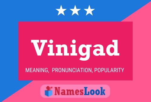 Vinigad Name Poster