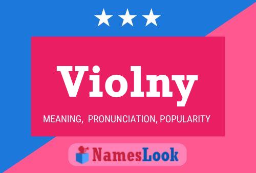 Violny Name Poster