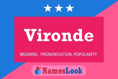 Vironde Meaning, Pronunciation, Origin and Numerology | NamesLook