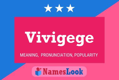 Vivigege Name Poster