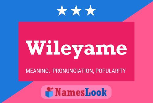 Wileyame Name Poster