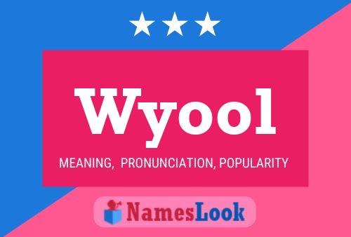 Wyool Name Poster