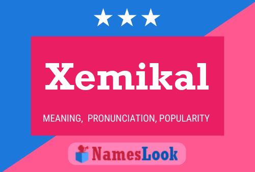 Xemikal Name Poster