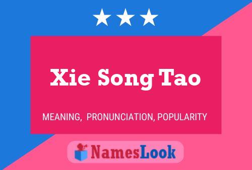 Xie Song Tao Name Poster