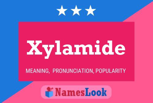 Xylamide Name Poster