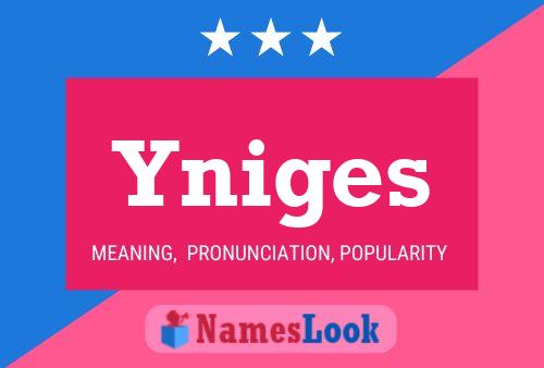 Yniges Name Poster