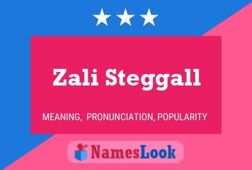 Zali Steggall Name Poster