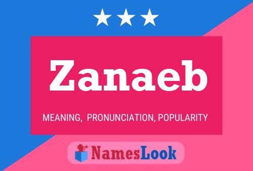 Zanaeb Name Poster