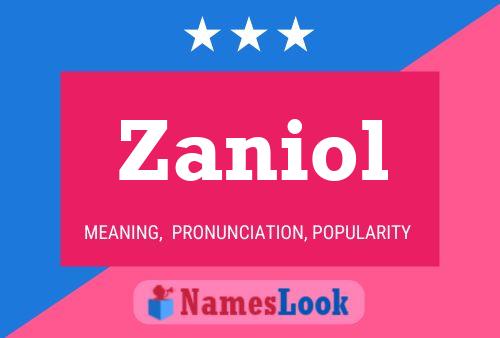 Zaniol Name Poster