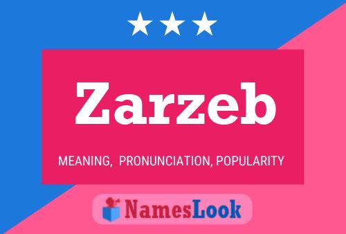 Zarzeb Name Poster