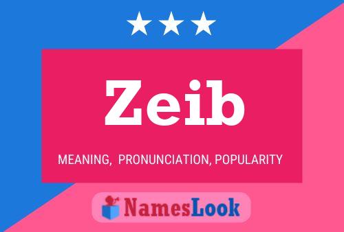 Zeib Name Poster